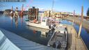 ./images/quadra/hbidock/20260224/hbidock20260224_155501M.jpg