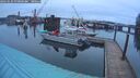 ./images/quadra/hbidock/20260225/hbidock20260225_070001M.jpg