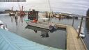 ./images/quadra/hbidock/20260225/hbidock20260225_123000M.jpg