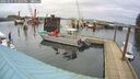 ./images/quadra/hbidock/20260225/hbidock20260225_123501M.jpg