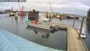 ./images/quadra/hbidock/20260225/hbidock20260225_124501M.jpg