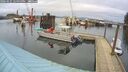 ./images/quadra/hbidock/20260225/hbidock20260225_125000M.jpg