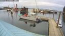 ./images/quadra/hbidock/20260225/hbidock20260225_125001M.jpg