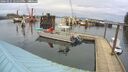 ./images/quadra/hbidock/20260225/hbidock20260225_125500M.jpg