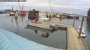 ./images/quadra/hbidock/20260225/hbidock20260225_125501M.jpg