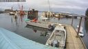 ./images/quadra/hbidock/20260225/hbidock20260225_131001M.jpg