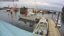 ./images/quadra/hbidock/20260225/hbidock20260225_131500M.jpg