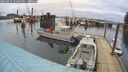 ./images/quadra/hbidock/20260225/hbidock20260225_133001M.jpg