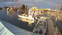 ./images/quadra/hbidock/20260225/hbidock20260225_165000M.jpg