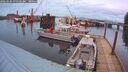 ./images/quadra/hbidock/20260226/hbidock20260226_070501M.jpg