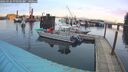 ./images/quadra/hbidock/20260226/hbidock20260226_072501M.jpg