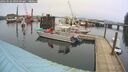 ./images/quadra/hbidock/20260226/hbidock20260226_095501M.jpg