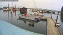 ./images/quadra/hbidock/20260226/hbidock20260226_100501M.jpg