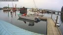 ./images/quadra/hbidock/20260226/hbidock20260226_102000M.jpg