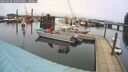 ./images/quadra/hbidock/20260226/hbidock20260226_103000M.jpg