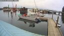 ./images/quadra/hbidock/20260226/hbidock20260226_105002M.jpg