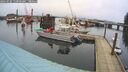 ./images/quadra/hbidock/20260226/hbidock20260226_110001M.jpg