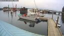 ./images/quadra/hbidock/20260226/hbidock20260226_111000M.jpg
