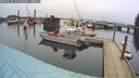./images/quadra/hbidock/20260226/hbidock20260226_111500M.jpg