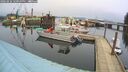 ./images/quadra/hbidock/20260226/hbidock20260226_121000M.jpg
