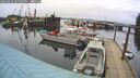 ./images/quadra/hbidock/20260226/hbidock20260226_125501M.jpg