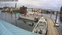 ./images/quadra/hbidock/20260226/hbidock20260226_145502M.jpg