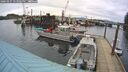 ./images/quadra/hbidock/20260227/hbidock20260227_143001M.jpg