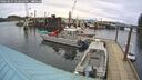 ./images/quadra/hbidock/20260227/hbidock20260227_143500M.jpg
