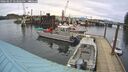 ./images/quadra/hbidock/20260227/hbidock20260227_143501M.jpg