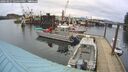 ./images/quadra/hbidock/20260227/hbidock20260227_144500M.jpg
