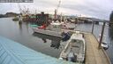 ./images/quadra/hbidock/20260227/hbidock20260227_144501M.jpg