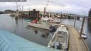 ./images/quadra/hbidock/20260227/hbidock20260227_152501M.jpg