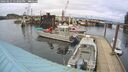 ./images/quadra/hbidock/20260227/hbidock20260227_153001M.jpg