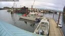 ./images/quadra/hbidock/20260227/hbidock20260227_154001M.jpg