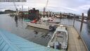 ./images/quadra/hbidock/20260227/hbidock20260227_165002M.jpg