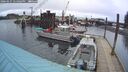 ./images/quadra/hbidock/20260227/hbidock20260227_174001M.jpg