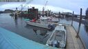 ./images/quadra/hbidock/20260227/hbidock20260227_175501M.jpg
