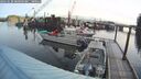 ./images/quadra/hbidock/20260228/hbidock20260228_080001M.jpg