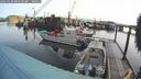 ./images/quadra/hbidock/20260228/hbidock20260228_081501M.jpg