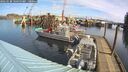 ./images/quadra/hbidock/20260228/hbidock20260228_101500M.jpg