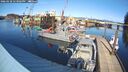 ./images/quadra/hbidock/20260228/hbidock20260228_143001M.jpg