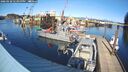 ./images/quadra/hbidock/20260228/hbidock20260228_144000M.jpg
