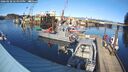 ./images/quadra/hbidock/20260228/hbidock20260228_145000M.jpg