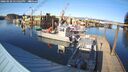 ./images/quadra/hbidock/20260228/hbidock20260228_155002M.jpg