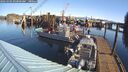 ./images/quadra/hbidock/20260301/hbidock20260301_094000M.jpg