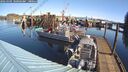 ./images/quadra/hbidock/20260301/hbidock20260301_100001M.jpg