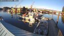 ./images/quadra/hbidock/20260301/hbidock20260301_170002M.jpg