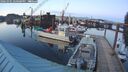 ./images/quadra/hbidock/20260301/hbidock20260301_180500M.jpg