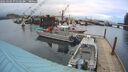 ./images/quadra/hbidock/20260303/hbidock20260303_071501M.jpg