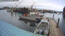 ./images/quadra/hbidock/20260303/hbidock20260303_072501M.jpg